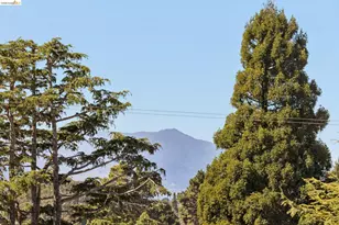 1509 Francis St, Albany, CA 94706 - Photo 43