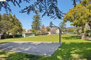 1509 Francis St, Albany, CA 94706 - Photo 47