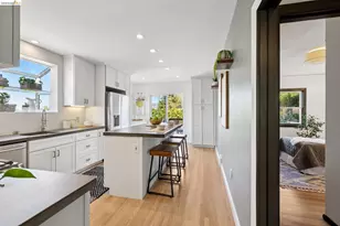 1509 Francis St, Albany, CA 94706 - Photo 19