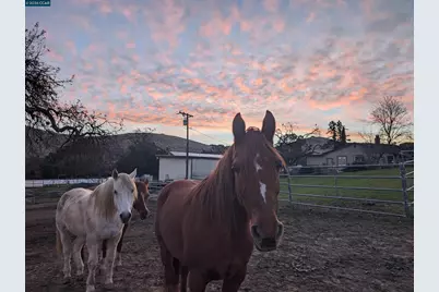 9530 Morgan Territory Rd, Livermore, CA 94551 - Photo 43