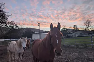 9530 Morgan Territory Rd, Livermore, CA 94551 - Photo 43