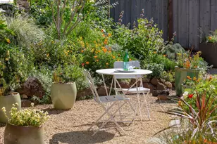 731 Grizzly Peak Blvd, Berkeley, CA 94708 - Photo 43