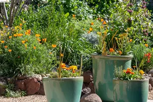 731 Grizzly Peak Blvd, Berkeley, CA 94708 - Photo 45