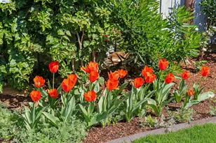 1262 94th Ave, Oakland, CA 94603 - Photo 33