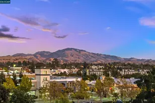 1201 Alta Vista Dr, Walnut Creek, CA 94596 - Photo 37