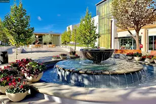 1201 Alta Vista Dr, Walnut Creek, CA 94596 - Photo 41