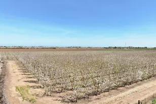 2650 Sellers Ave, Brentwood, CA 94513 - Photo 59