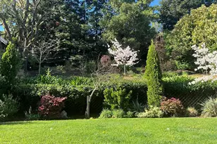 3327 Beechwood Dr, Lafayette, CA 94549 - Photo 3