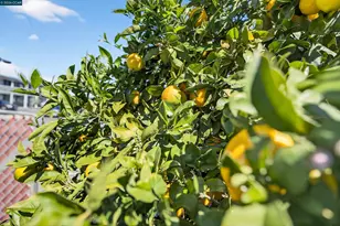 2138 Market Ave, San Pablo, CA 94806 - Photo 5