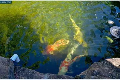 1496 Finley Lane, Alamo, CA 94507 - Photo 29