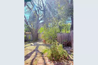 105 Camille Court, Alamo, CA 94507 - Photo 55