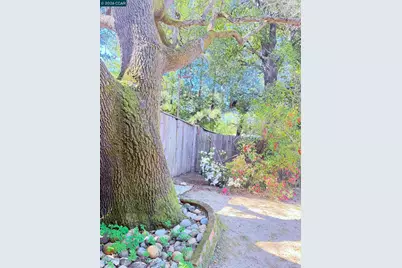 105 Camille Court, Alamo, CA 94507 - Photo 45