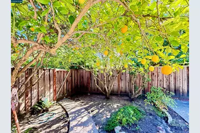 105 Camille Court, Alamo, CA 94507 - Photo 39