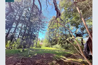 105 Camille Court, Alamo, CA 94507 - Photo 53