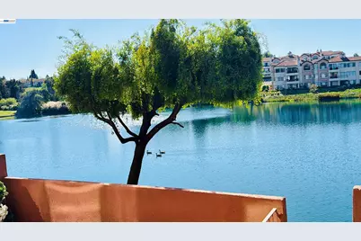 4063 Lakeshore Dr, San Ramon, CA 94582 - Photo 31