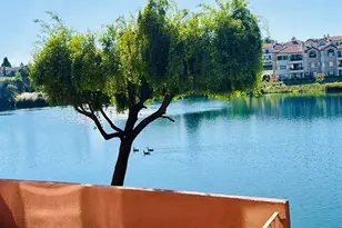 4063 Lakeshore Dr, San Ramon, CA 94582 - Photo 31