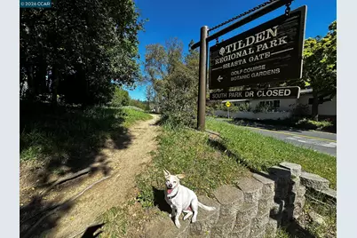 1040 Park Hills Rd, Berkeley, CA 94708 - Photo 31