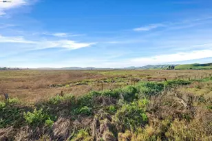 2376 Broadmoor St, Livermore, CA 94551 - Photo 39