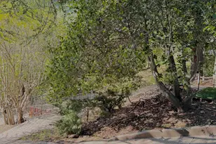 918 Anita, Lafayette, CA 94549 - Photo 19