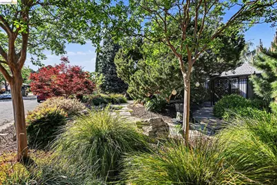 5849 Mitchell Canyon Ct, Clayton, CA 94517 - Photo 35