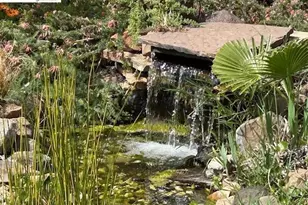 5849 Mitchell Canyon Ct, Clayton, CA 94517 - Photo 35