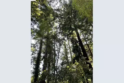 962 Regal Rd, Berkeley, CA 94708 - Photo 17