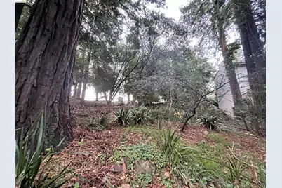 962 Regal Rd, Berkeley, CA 94708 - Photo 13