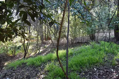962 Regal Rd, Berkeley, CA 94708 - Photo 3