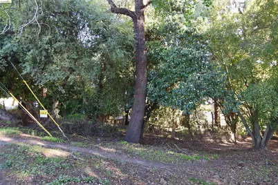 962 Regal Rd, Berkeley, CA 94708 - Photo 5