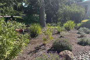 2901 Golden Rain Rd, Walnut Creek, CA 94595 - Photo 3