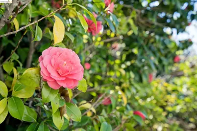 2825 Kitchener Ct, Oakland, CA 94602 - Photo 41