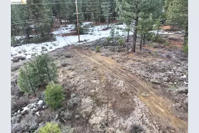 350 Espinal Dr, Portola, CA 96122 - Photo 5