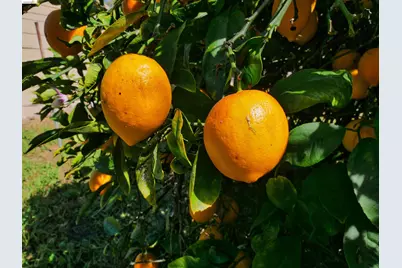 138 Eldridge Avenue, Oakland, CA 94603 - Photo 23