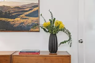 1698 La Loma Ave, Berkeley, CA 94709 - Photo 31