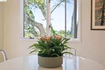 1698 La Loma Ave, Berkeley, CA 94709 - Photo 11