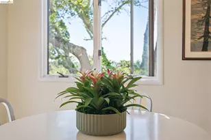 1698 La Loma Ave, Berkeley, CA 94709 - Photo 11