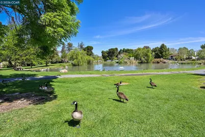 1954 6th St, Concord, CA 94519 - Photo 25