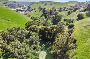 41794 Vargas Rd, Fremont, CA 94539 - Photo 57