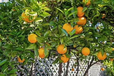 23719 Nevada Rd, Hayward, CA 94541 - Photo 57