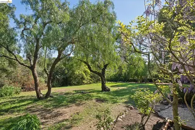 3862 Lyman Rd, Oakland, CA 94602 - Photo 53