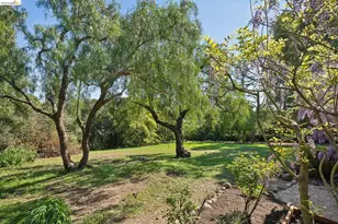 3862 Lyman Rd, Oakland, CA 94602 - Photo 53