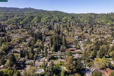 1370 Pine Tree Dr, Alamo, CA 94507 - Photo 39