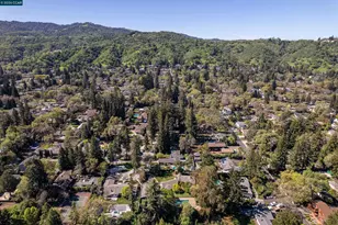 1370 Pine Tree Dr, Alamo, CA 94507 - Photo 39