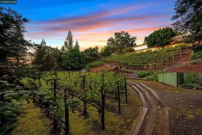 225 Pebble Ct, Alamo, CA 94507 - Photo 55