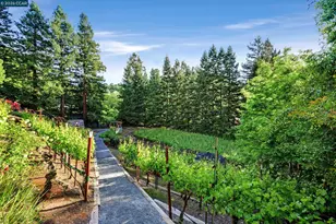 225 Pebble Ct, Alamo, CA 94507 - Photo 43