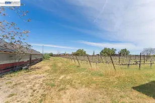 1972 Livermore Ave, Livermore, CA 94550 - Photo 43