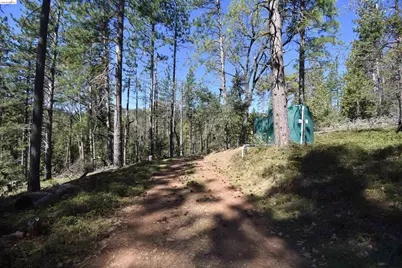 3715 Bald Mountain Rd, West Point, CA 95255 - Photo 7