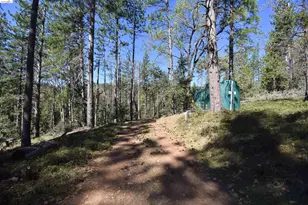 3715 Bald Mountain Rd, West Point, CA 95255 - Photo 7