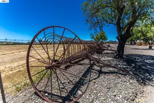 3001 Lusitana Dr, Livermore, CA 94550 - Photo 49