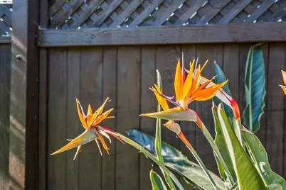 1573 Castro Street, San Leandro, CA 94577 - Photo 45